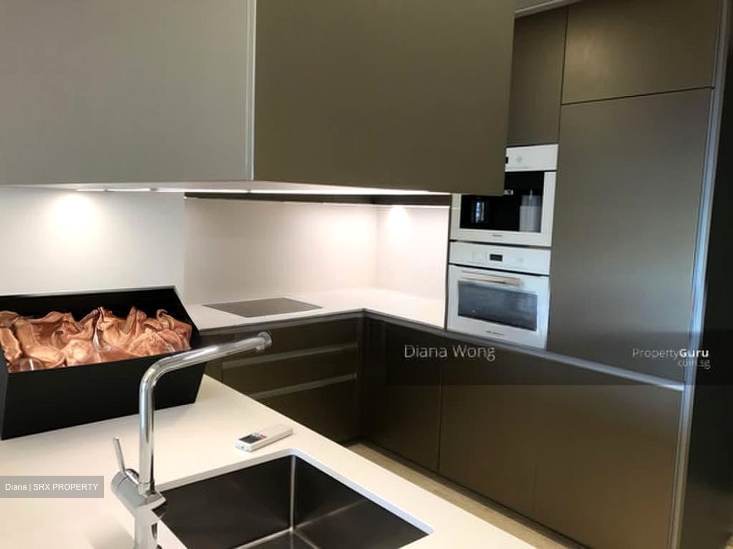 Cairnhill Nine (D9), Apartment #566076941